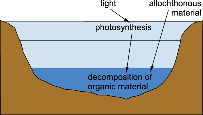 meromictic lakes