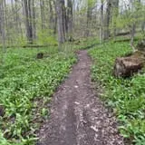 Great Bear Recreational Trails in Fulton