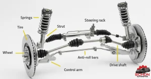 Automotive undercar suspension strut assembly and coil spring parts
