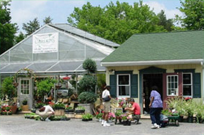 Ballantyne Gardens & Specialty Plant Hub in Liverpool