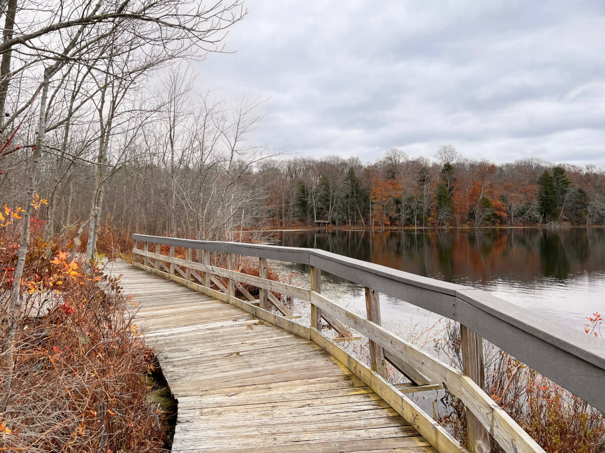 Hiking trail at Clark Reservation State Park near Syracuse NY