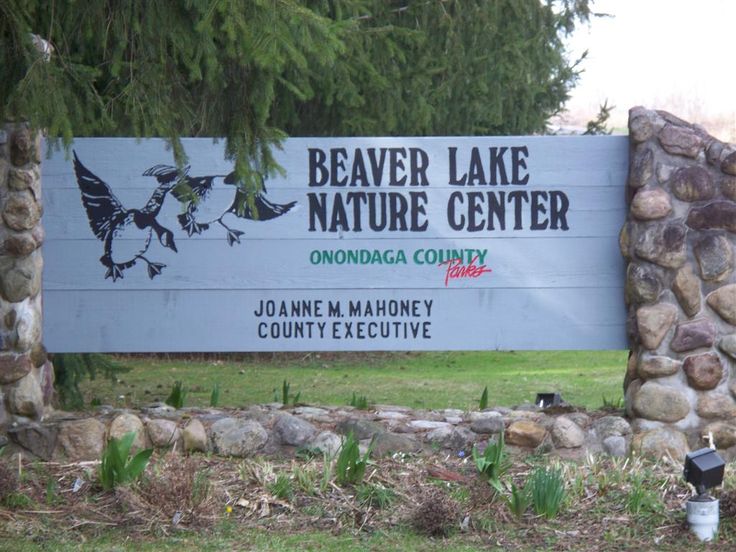 Beaver Lake Nature Center trails Baldwinsville NY