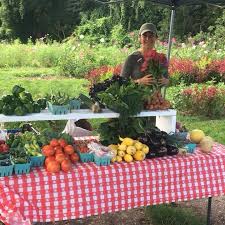 Brady Farm in Syracuse, NY