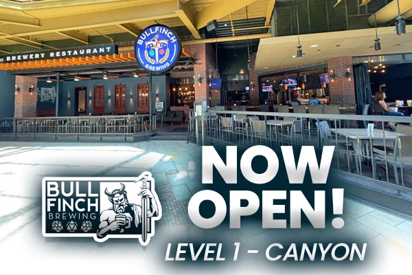 Bullfinch Brewpub interior and craft beers Syracuse NY
