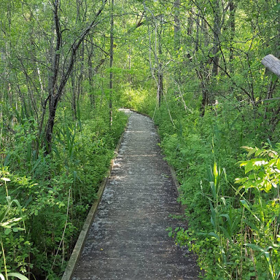 Butternut Creek Trail in Fayetteville