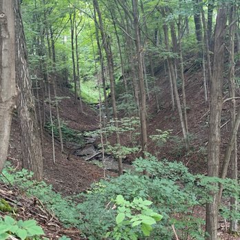 Camillus Unique Area Trails