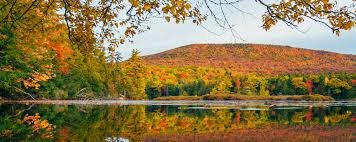 Catskills NY Travel Guide - 68 Listings - 8 Categories