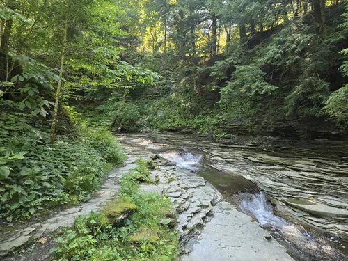 Chautauqua Gorge State Forest