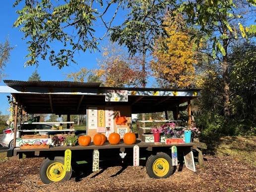 A classic vintage diner and local farm market stand in Central NY