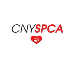 CNY SPCA Syracuse NY