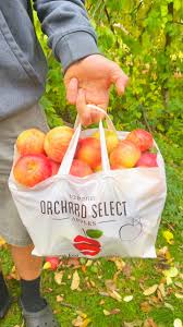 Cortland Hill Orchard Farm Stand