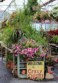 Crazy Daisies Flowers & Garden Cafe located inSyracuse