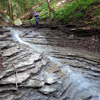 Deer Lick Conservation Area
