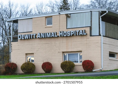 DeWitt Animal Hospital Dewitt NY