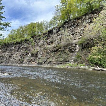 Eighteenmile Creek Conservation Park