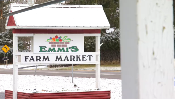 Emmi Farms in Baldwinsville, NY