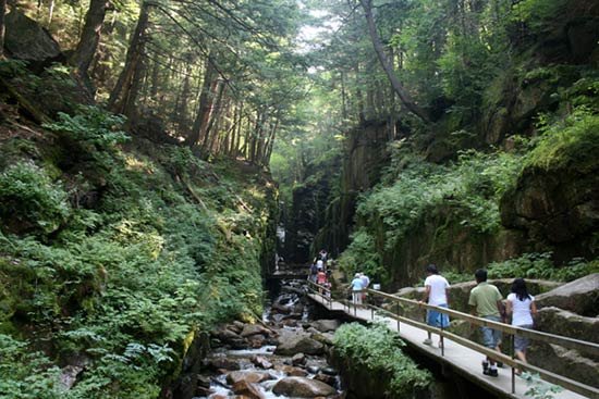 Flume Gorge Franconia Notch State Park NH