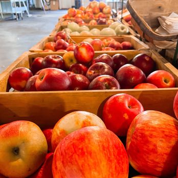 Green Mountain Orchards Pick Your Own