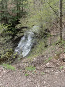 Guppy Falls Skaneateles Conservation Area