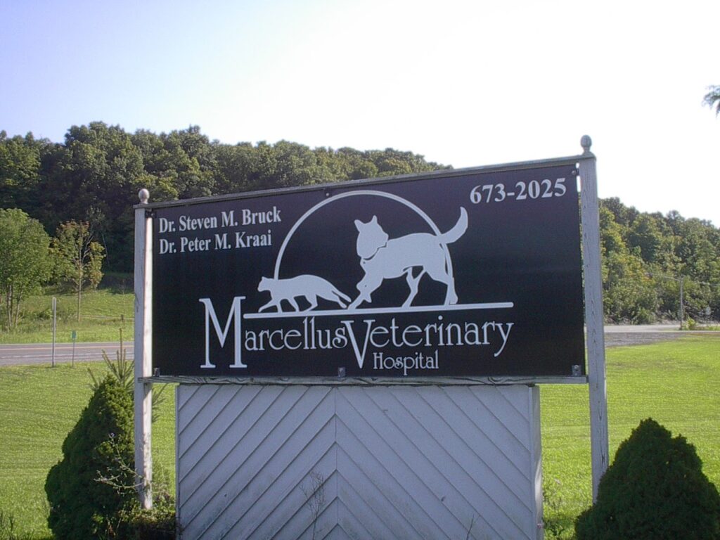 Marcellus Veterinary Hospital Marcellus NY