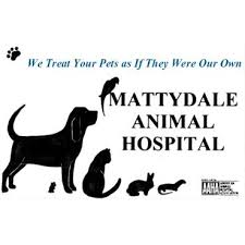 Mattydale Animal Hospital Mattydale NY