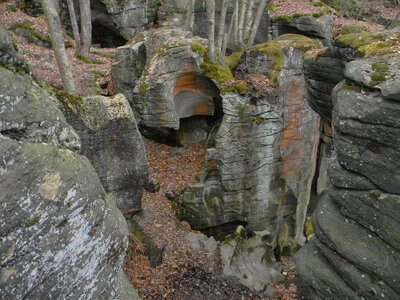 Moss Island (Little Falls, NY)