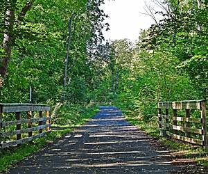 Flat boardwalk nature loop trail built for easy strolling accessibility