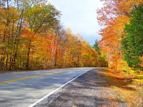 Pick your own apple orchard loops surrounded by vibrant autumn foliage colors
