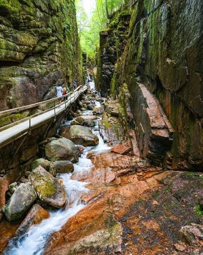Deep water-carved rock channels and mossy cliffs along a gorge walk