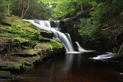 Pristine clear wilderness river pool nestled in deep mountain woods