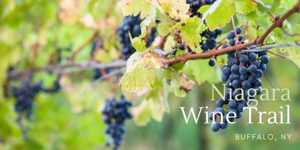 Niagara Wine Trail Lake Ontario