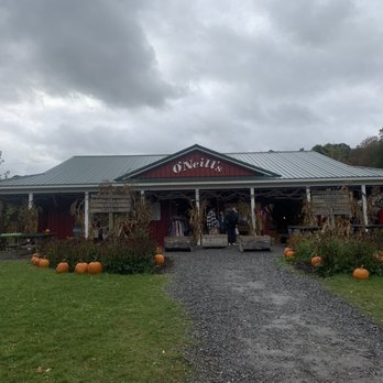 O'Neill's Orchard in Lafayette, NY
