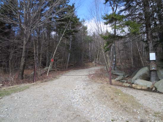 Pitcher Mountain Trail Head View