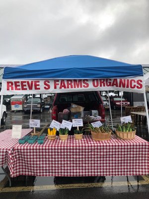 Reeves Farms in Baldwinsville, NY