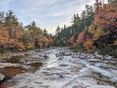Rocky Gorge Scenic Area in Albany, NH