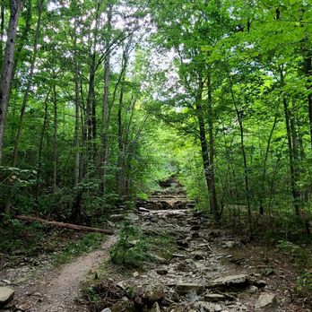 Three Falls Woods (CNY Land Trust) – Manlius
