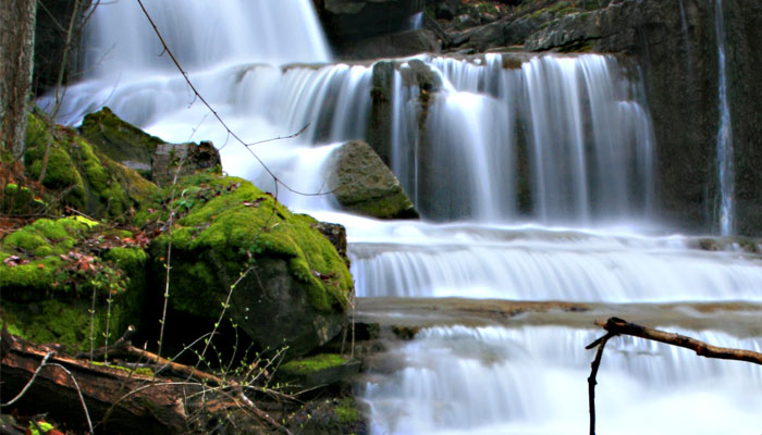 Three Falls Woods in Manlius NY