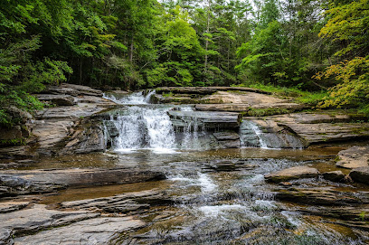 Umpachene Falls Park flat step stone drops
