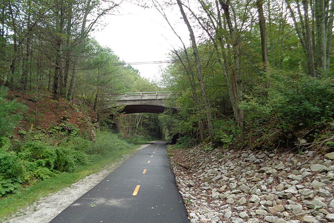 Washington Secondary Bike Path paved corridor under a canopy of trees