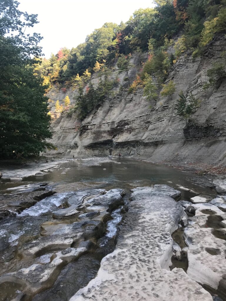 Zoar Valley Multiple Use Area